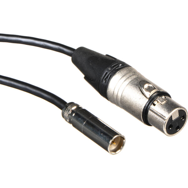 Blackmagic Design HYPERDAXLRMINI2 Set of 2 Mini XLR to XLR Audio Cables for Video Assist 4K (19.5")